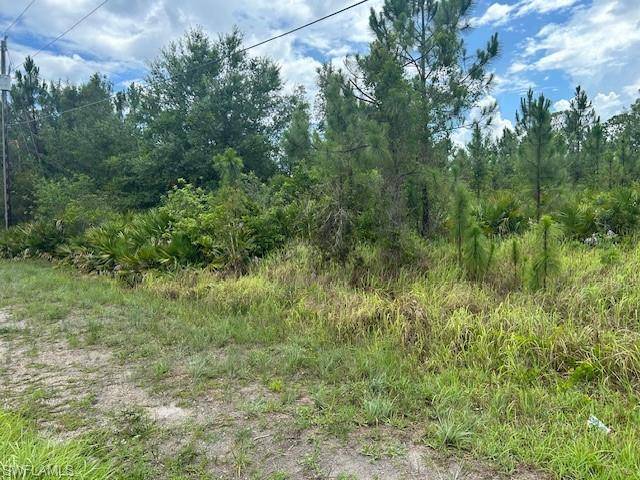 Lehigh Acres, FL 33936,921 Robert AVE