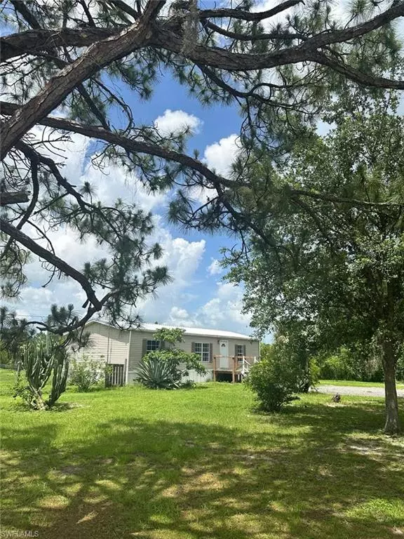 Clewiston, FL 33440,451 Bald Cypress