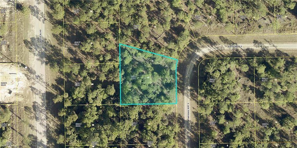 Lehigh Acres, FL 33974,124 Nassau AVE