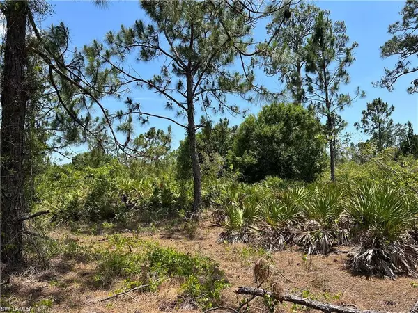 Labelle, FL 33935,7897 5th PL