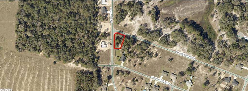 Ocklawaha, FL 32179,9031-0945-15 Malauka Loop RUN