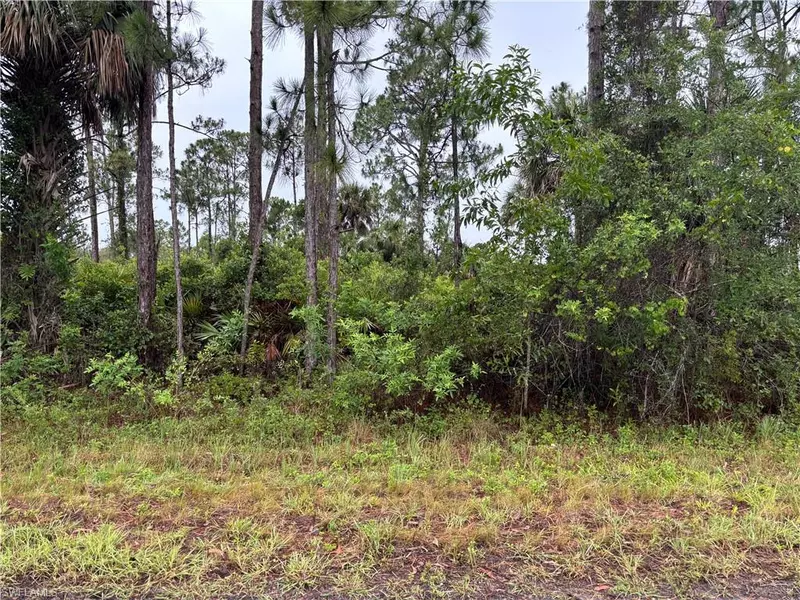 868 Audrey ST E, Lehigh Acres, FL 33974