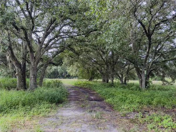 Labelle, FL 33935,4932 Loblolly Bay RD