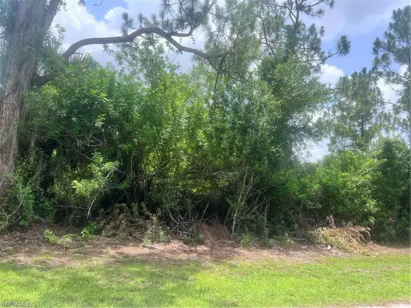 Fort Myers, FL 33905,6020 Juliet AVE