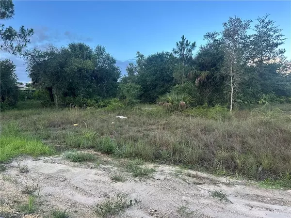 Lehigh Acres, FL 33972,1406 Henry AVE