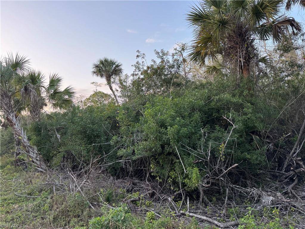 4187 36 AVE SE, Naples, FL 34117
