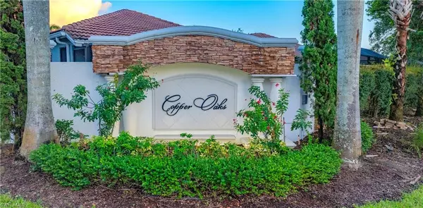Estero, FL 33928,10132 N Golden Elm DR