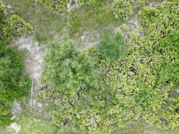 Lehigh Acres, FL 33974,211 Pageant ST