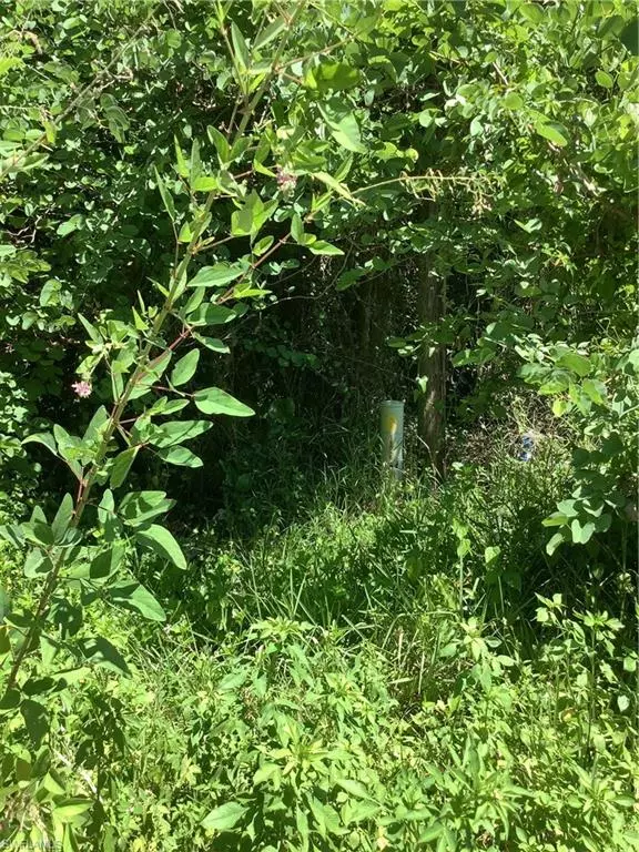 Immokalee, FL 34142,4910 N Miraham DR