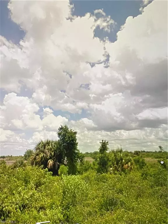 Lehigh Acres, FL 33972,1410 Wells AVE