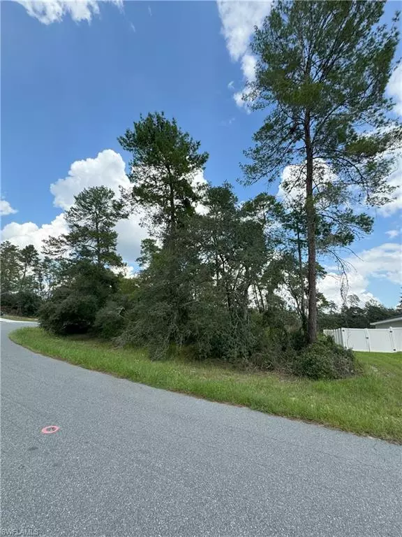 Ocala, FL 34473,XXX SW 167th LOOP