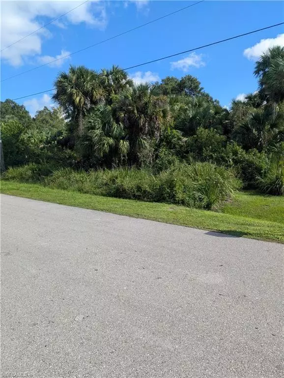 Naples, FL 34117,XXX 30th AVE SE