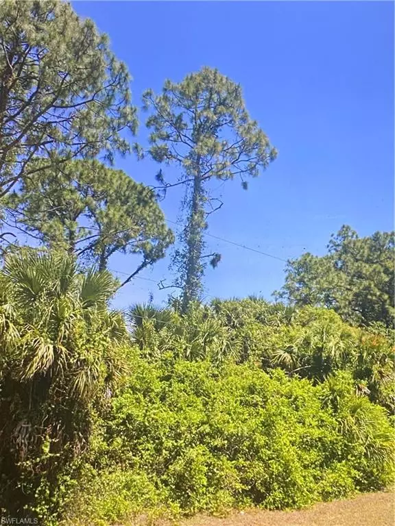 Lehigh Acres, FL 33974,931 Sentinela BLVD