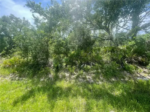 Punta Gorda, FL 33980,3487 Mentone ST