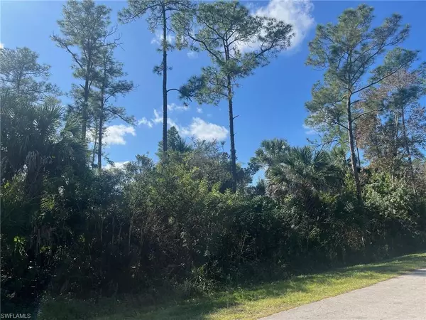 Naples, FL 34117,28th AVE SE