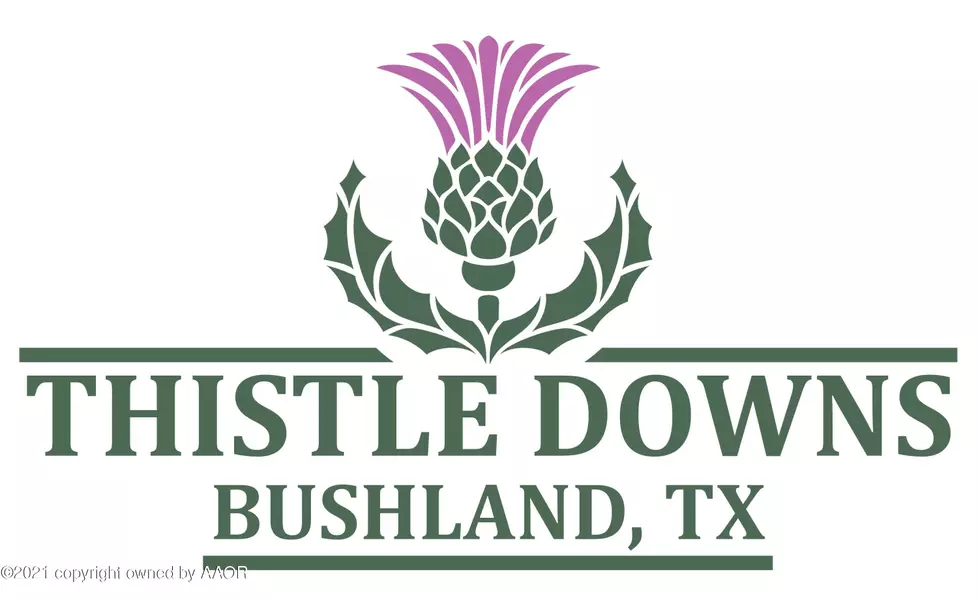 BUSHLAND RD, Amarillo, TX 79119