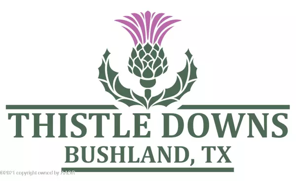 BUSHLAND RD, Amarillo, TX 79119