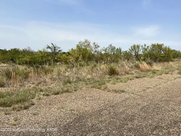 Fritch, TX 79036,Lot 1 Blk 12 on Trinity LN