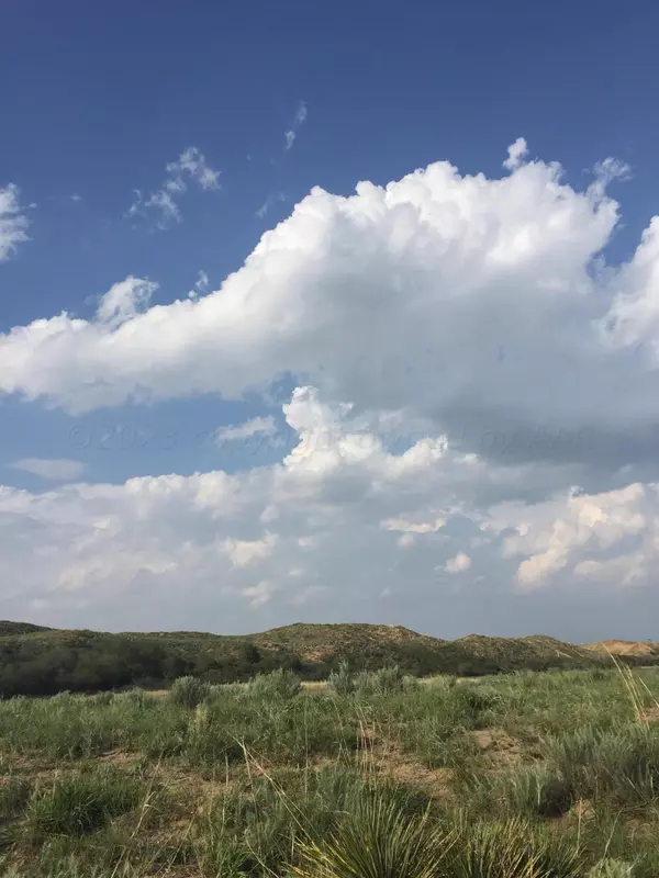 331 Flint Acres DR, Dumas, TX 79029