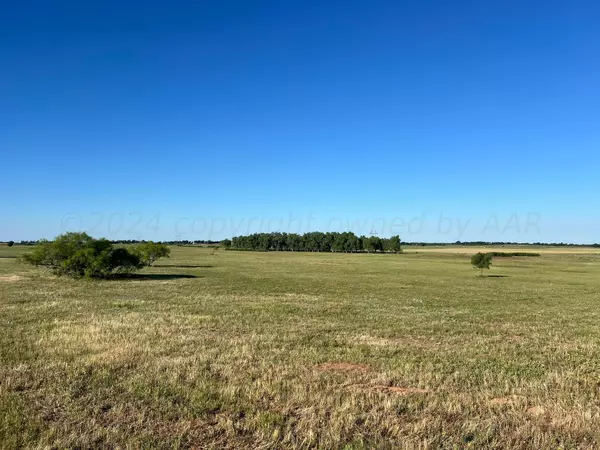 Wellington, TX 79095,28.73 acre US Hwy 83