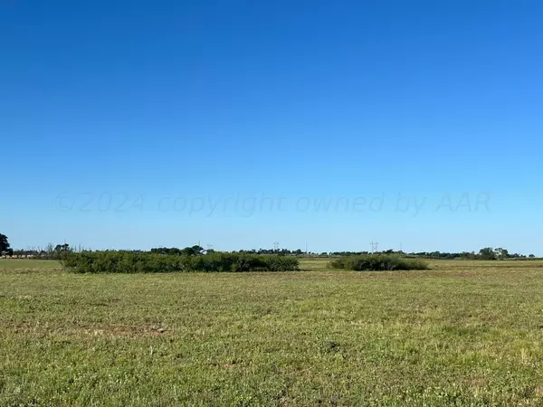 31.37 acre TBD US Hwy 83, Wellington, TX 79095