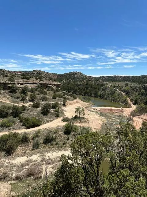 Amarillo, TX 79118,12900 Wild Horse TRL