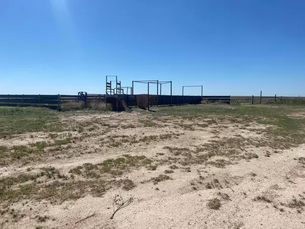 East E High Lonesome RD, Dalhart, TX 79022