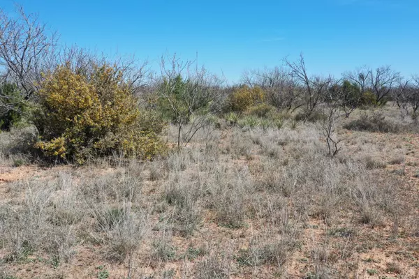 Lubbock, TX 79330,Lake Alan Henry 95 Ranch