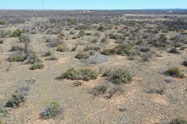 Lubbock, TX 79330,Lake Alan Henry 95 Ranch