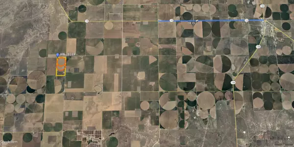 Gruver, TX 79040,8801 FM 1573