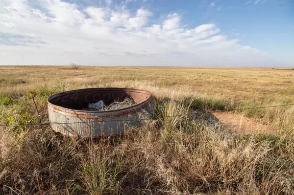 Fawver Dryland and Grass, Floydada, TX 79235