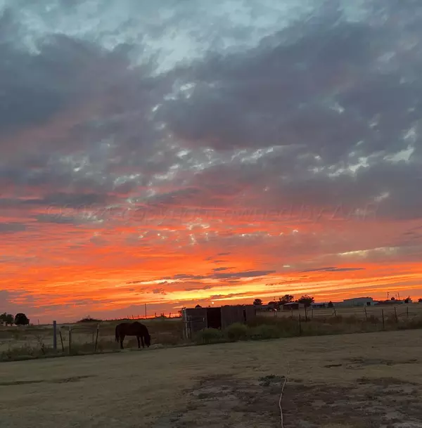 Amarillo, TX 79118,11100 FOX ST