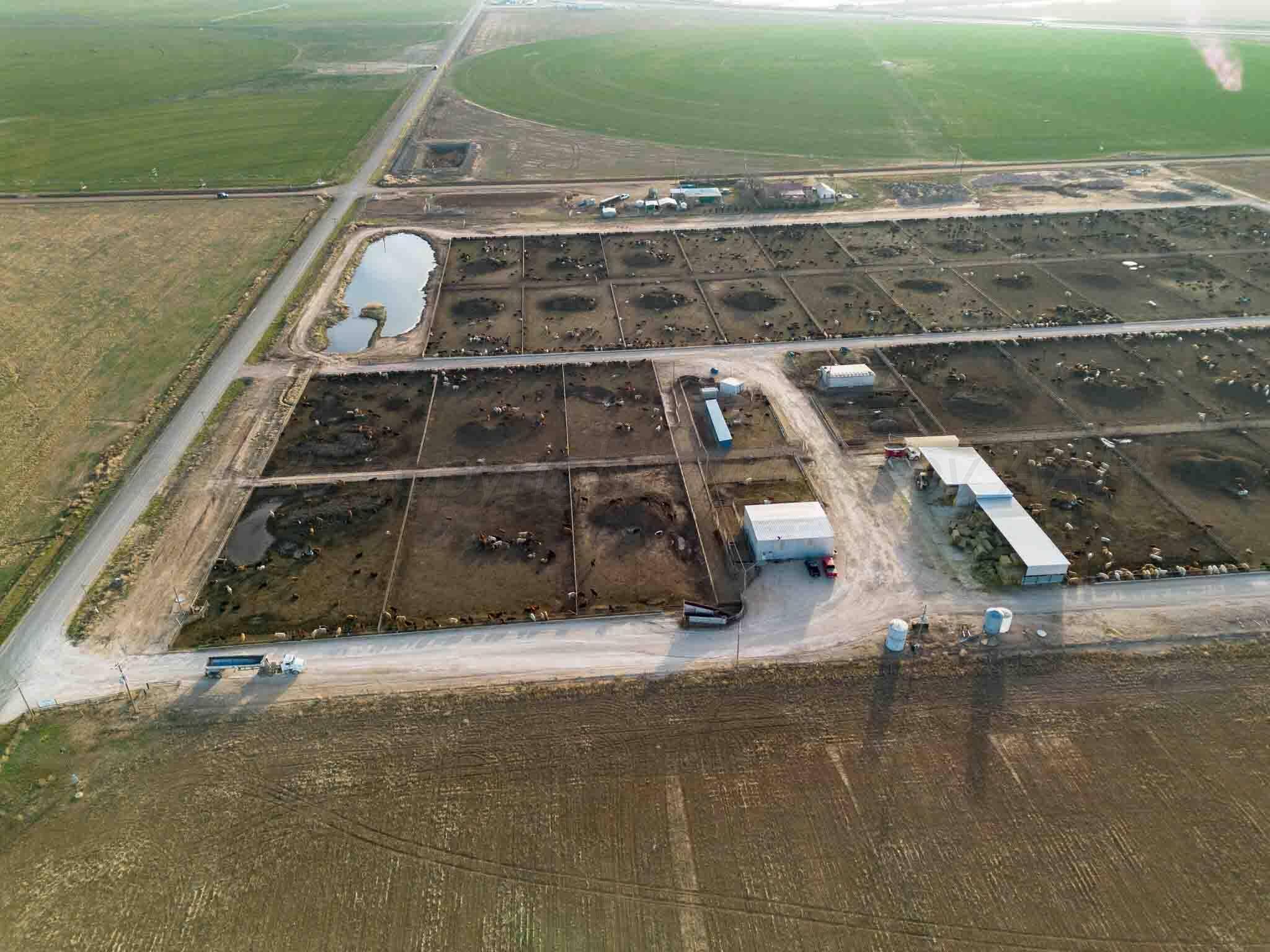 Hereford, TX 79045,Crow Cattle Growyard