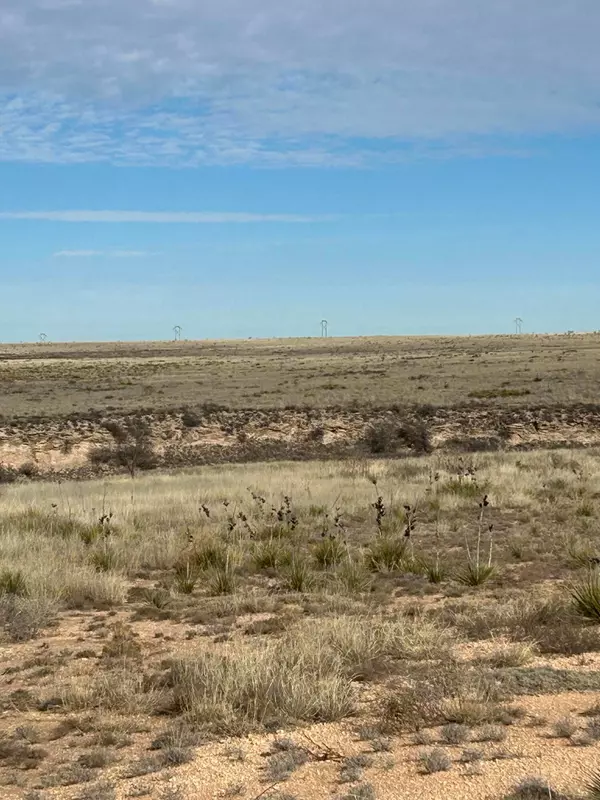 19300 SISTERS WAY, Amarillo, TX 79124