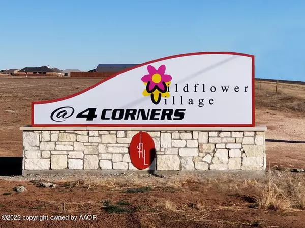 9450 Cocklebur LN, Amarillo, TX 79119