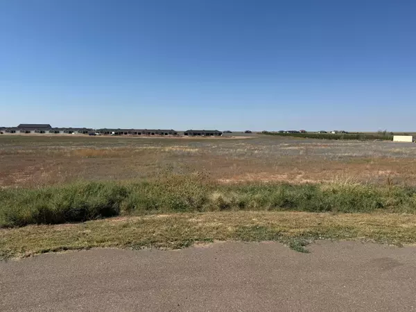 Amarillo, TX 79119,13770 Indigo RD