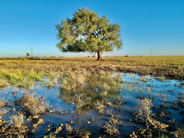 Adrian, TX 79001,State Highway 214