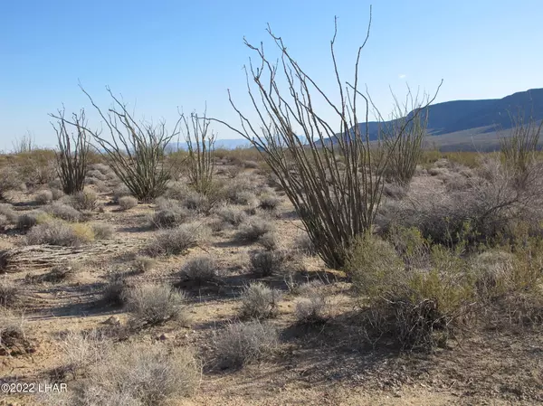 Yucca, AZ 86438,105b W Sunset Rd