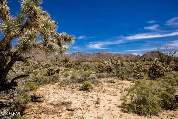Yucca, AZ 86438,11989 Howard Rd
