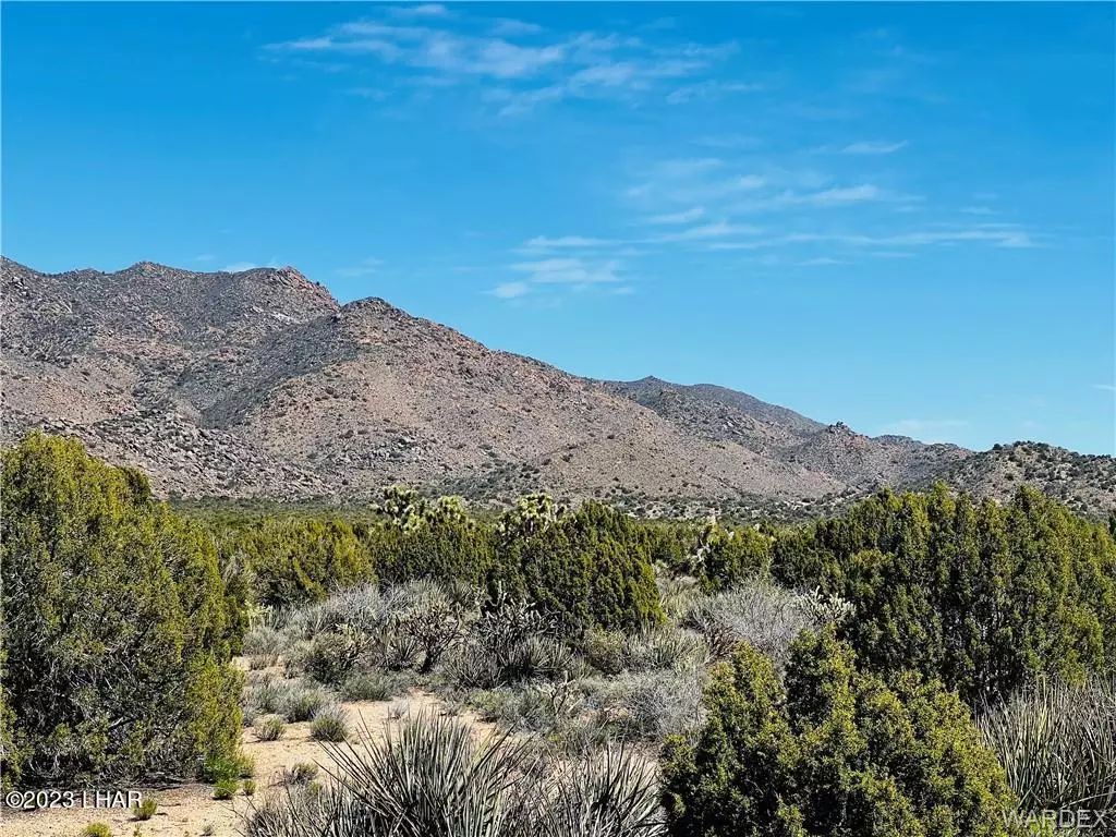 Yucca, AZ 86438,3290 S Gold Mine Rd