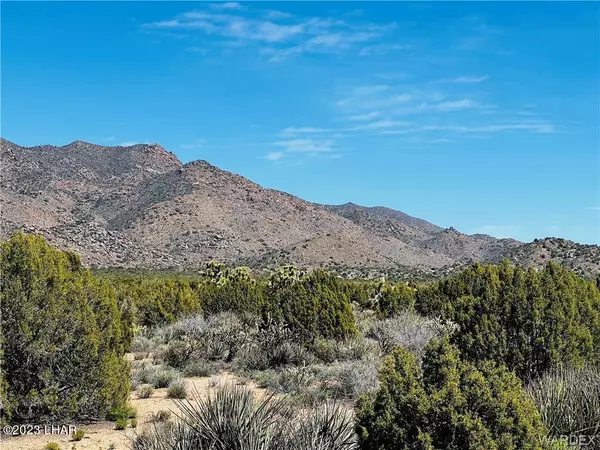 3290 S Gold Mine Rd, Yucca, AZ 86438