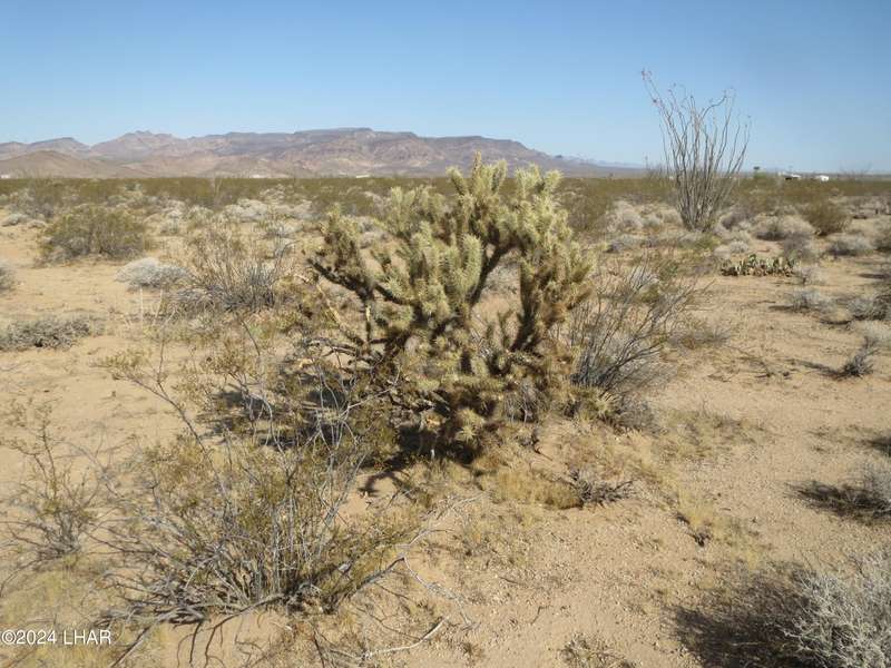 Lot 49-51 Rio Vista 2 Subdivision, Topock, AZ 86436