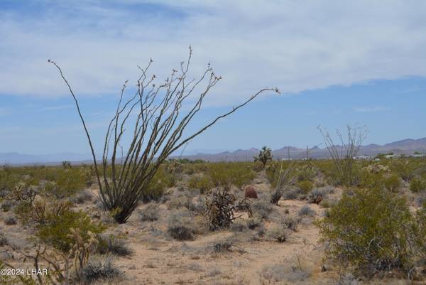 4 Lots S Carmen Rd,  Yucca,  AZ 86438