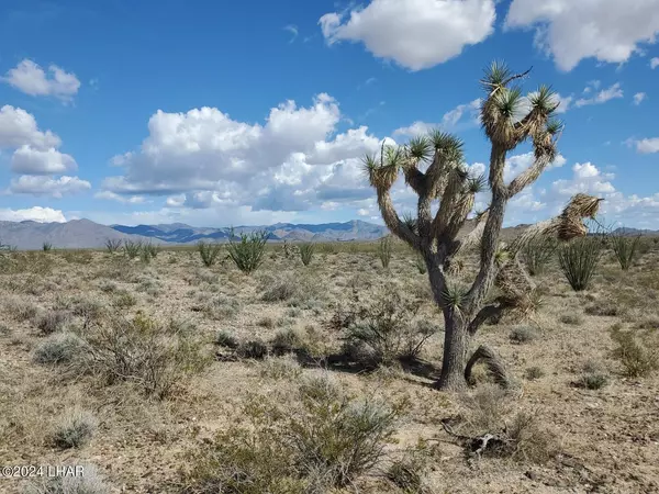 Yucca, AZ 86438,Lot 2 Rose Well Rd
