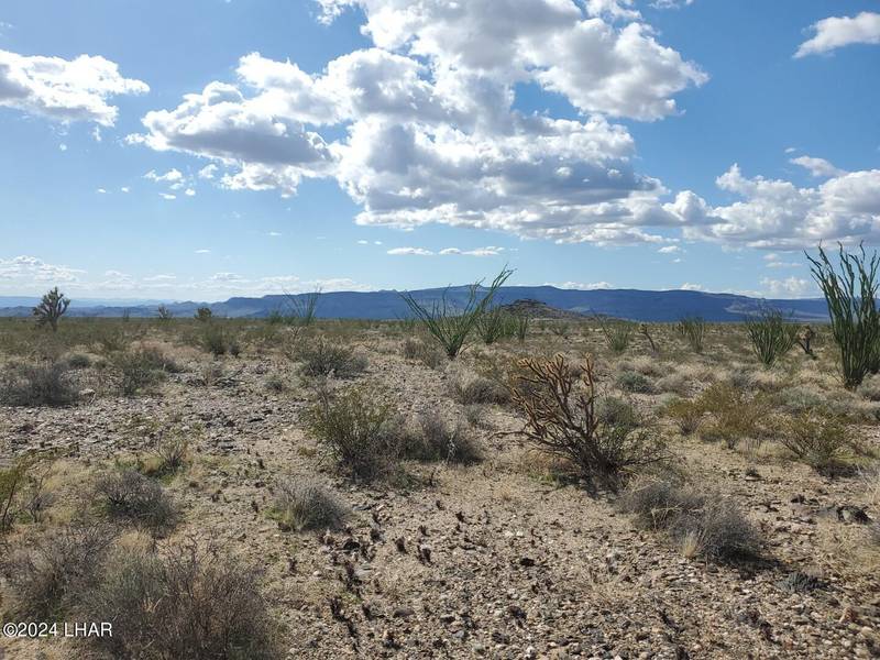 Lot 2 Rose Well Rd, Yucca, AZ 86438