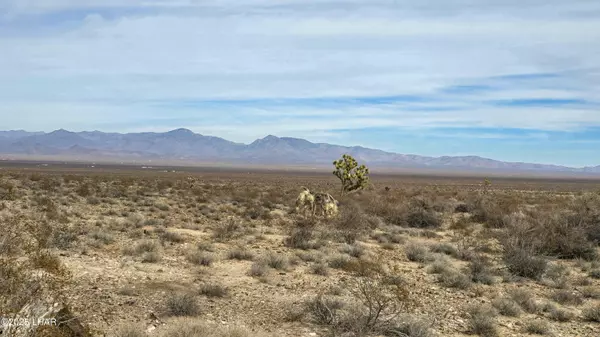 Yucca, AZ 86438,540 S Wild Bill Rd