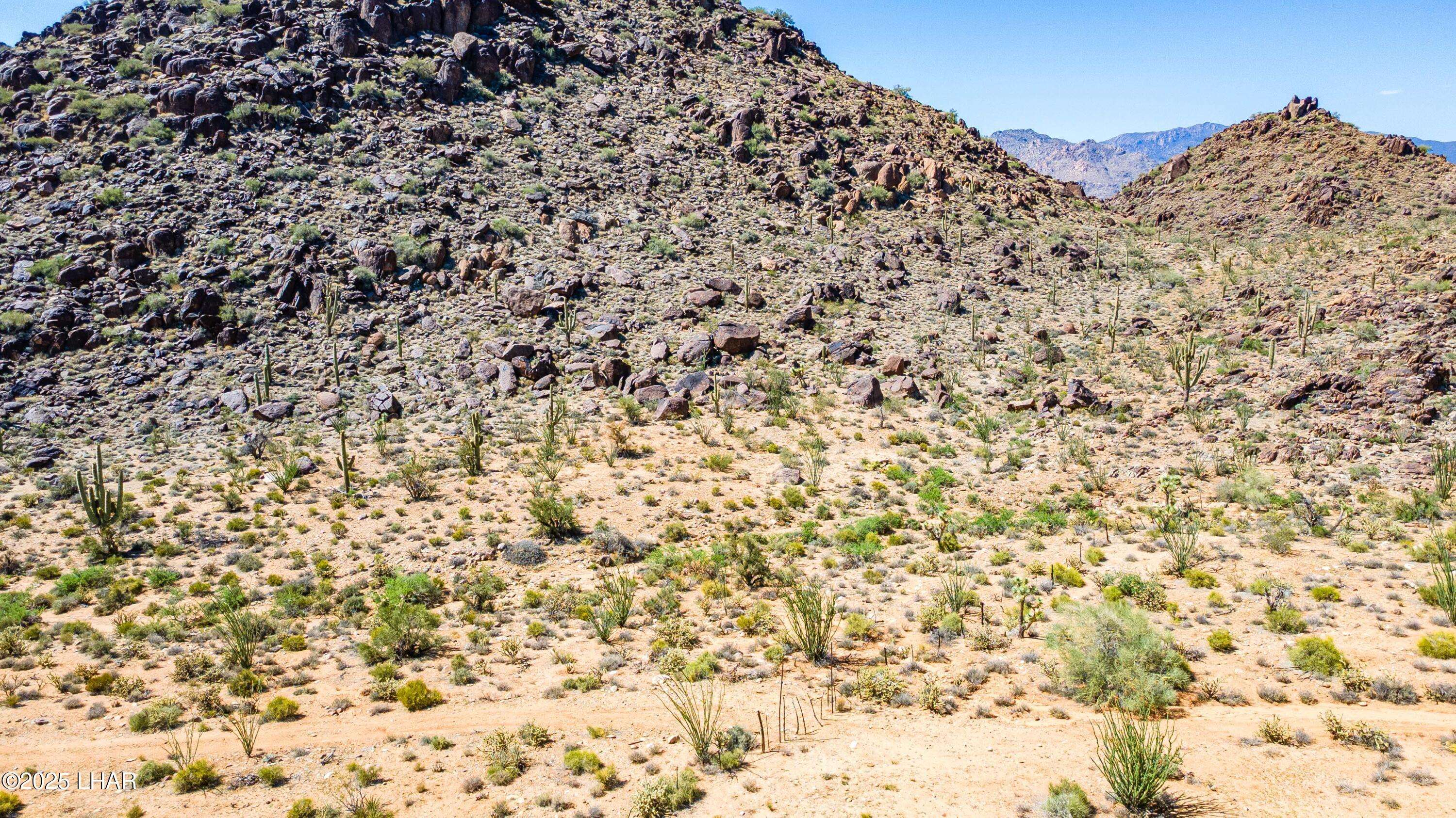 0 Allison Dr, Yucca, AZ 86438