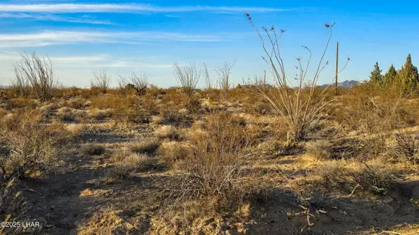 Yucca, AZ 86438,Lot 8 W Knox Rd