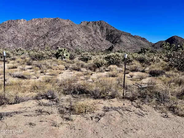 Yucca, AZ 86438,11658 Sherry Rd