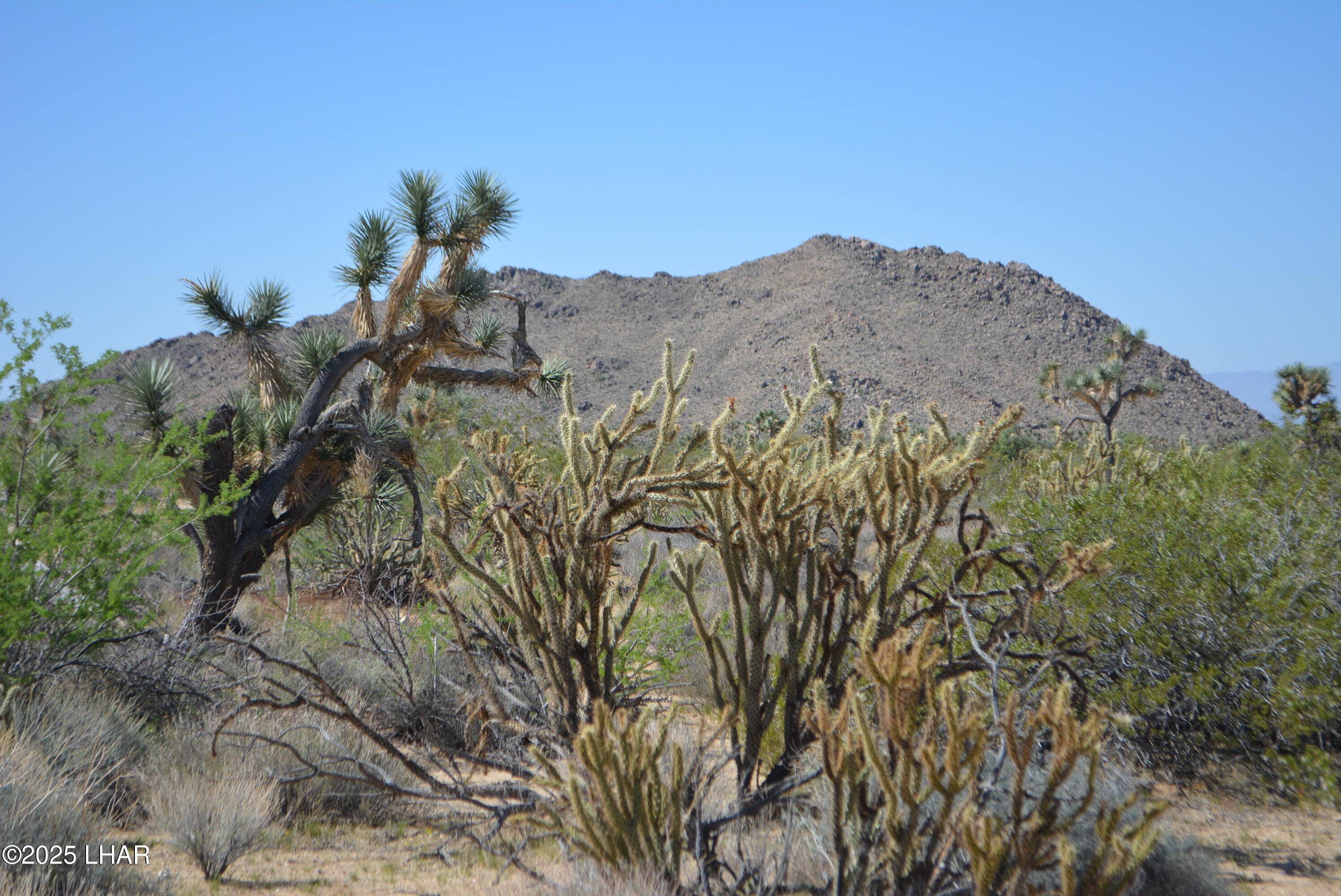 11189 S Alvis Rd, Yucca, AZ 86438